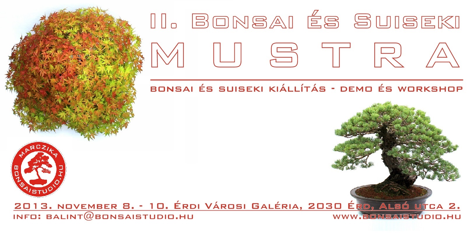 bonsai, bonsai kiallitas, bonsai esemeny, suiseki, bonsaj, marczika bonsai studio, bonsai alakitas, bonsai gyakorlat bonsai es suiseki mustra kiallitas demo workshop a marczika bonsai studio rendezvenye
